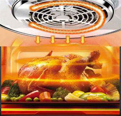 Big Boss 16qt Oil Less Air Fryer - Cooking a Turkey