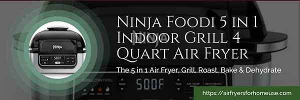 Ninja Foodi 5 in1 Indoor Grill 4 Quart Air Fryer